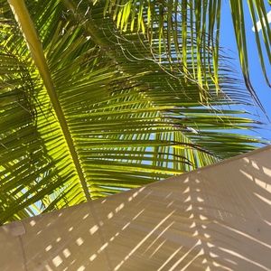 Meet your Posher, Antoya